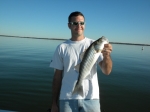 Stripers cuaght on Lake Texoma with fishing guide Brian Prichard