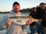 Stripers caught in Lake Texoma with fishing guide Brian Prichard